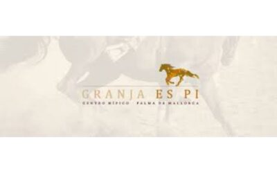 AVANCE DE PROGRAMA DOMA EN ES PI