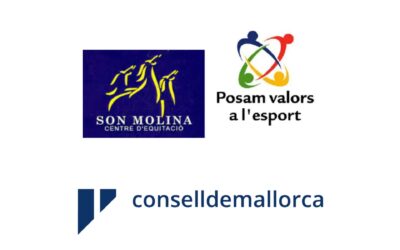 INSCRIPCIONES Y AVANCE DE PROGRAMA CSO SON MOLINA