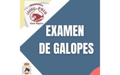 EXAMEN DE GALOPES 25 DE MARZO EN ES PUIG