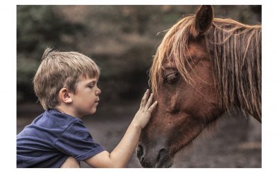 Terapias Asistidas con Caballos: Una revisión (Parte I)
