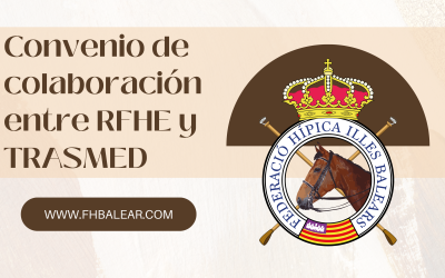 Acuerdo entre la RFHE y TRASMED para facilitar el traslado de caballos entre la península y las Illes Balears